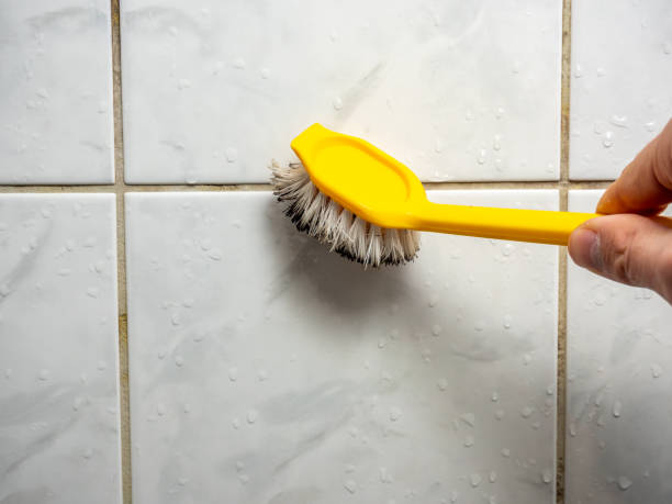 Best Water Damage Restoration  in Haymarket, VA