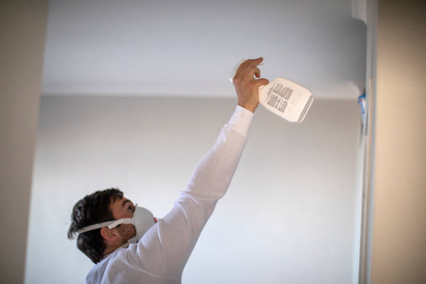 Haymarket, VA Mold Removal Company