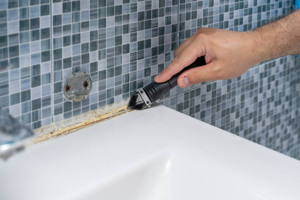 Best Black Mold Removal  in Haymarket, VA